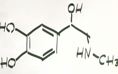 Die Chemie des Lampenfiebers: Eine klassische Kampf-oder-Flucht-Reaktion
