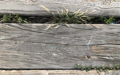 18 Tipps, mit denen Sie Ihre Durchsetzungskraft steigern