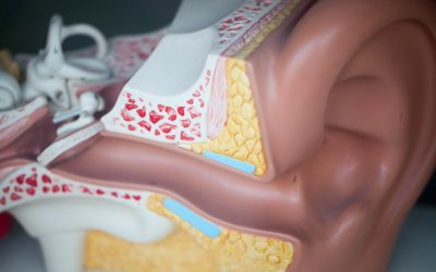 19 Tipps für besseres Zuhören. Zuhören als Kunstfertigkeit