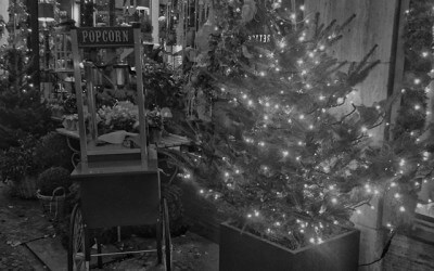 12+ Tipps, damit die Weihnachtsrede gelingt