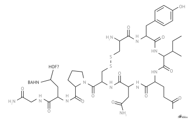 Rhetorik und Körperchemie: gute Redner kennen die Wirkung von Oxytocin