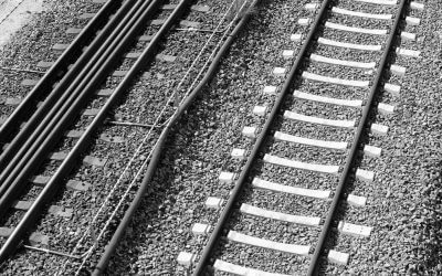 Entscheidungsstrategien: Fragen über Fragen, nur wo sind die besten Antworten?