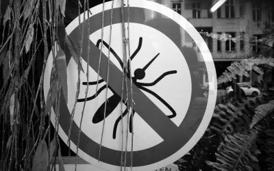 Leben jenseits von Filterblase und Echokammereffekt