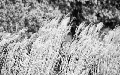 Nettsein, Freundlichkeit: Sind Sie zu nett für diese Welt? Geht das überhaupt?