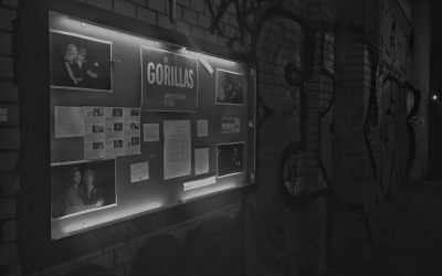 Keine Macken, keine Kanten, keine Narben? Stehen Sie zu Ihren Erfahrungen: Gorillas und Gesichter die Geschichten erzählen