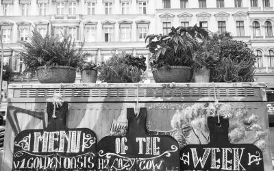 Sparring beim Spaziergang in Berlin | Karsten Noack