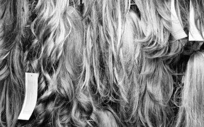 Das Tier im Menschen: Affenfelsen vs. Büro: Was für Übereinstimmungen gibt es?