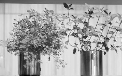 Empathie und ihre Bedeutung bei Reden und Präsentationen?