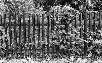 Wenn eine Tür sich schließt, geht oft eine andere auf.