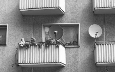 Public Diplomacy