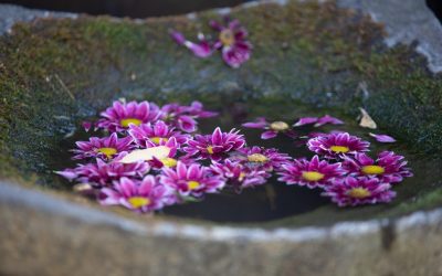 Das Glück deines Lebens hängt von der Beschaffenheit deiner Gedanken ab. –Marcus Aurelius