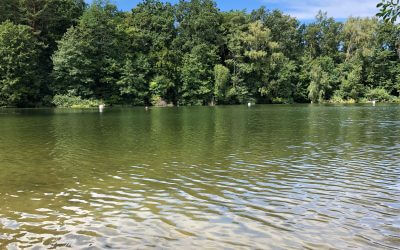 Brainmanagement: Wer Ideen würdigt, sichert sie!