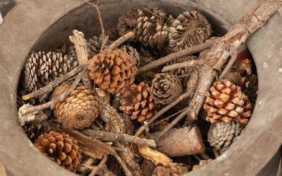 Die Dinge haben nur den Wert, den man ihnen verleiht. –Jean Baptiste Moliere