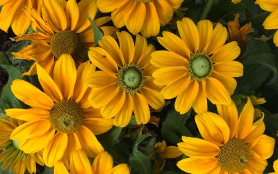 Im Leben geht es nicht nur darum durchzuhalten, sondern auch immer wieder darum, neu anzufangen.