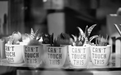 Sie sollten Godwin’s Law kennen, um nicht in die Falle zu tappen