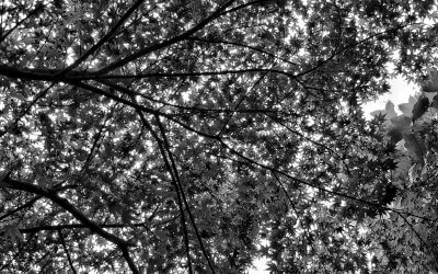 Herbstvorbereitungen