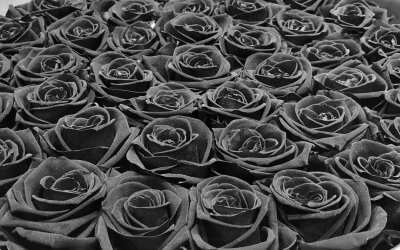 Das Glück, kein Reiter wirds erjagen, es ist nicht dort und ist nicht hier. Lern überwinden, lern entsagen, und ungeahnt erblüht es Dir. –Theodor Fontane