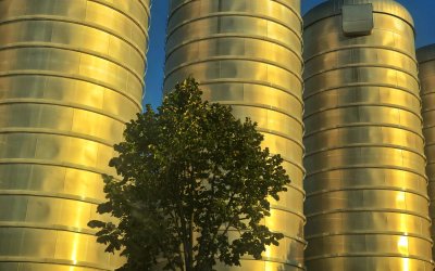 Alle Menschen werden als Original geboren, doch die meisten sterben als Kopie.