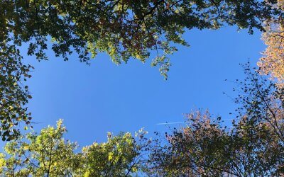 Die Grenzen des Möglichen lassen sich nur dadurch bestimmen, dass man sich ein wenig über sie hinaus ins Unmögliche wagt. Arthur C. Clarke