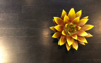 Der sittliche Mensch liebt seine Seele, der gewöhnliche sein Eigentum. –Konfuzius