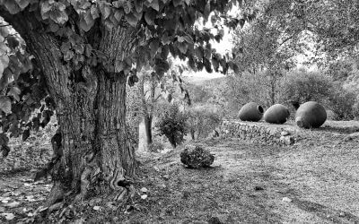 Dreifach ist der Schritt der Zeit: Zögernd kommt die Zukunft hergezogen, pfeilschnell ist das Jetzt entflogen, ewig still steht die Vergangenheit.  —Friedrich Schiller