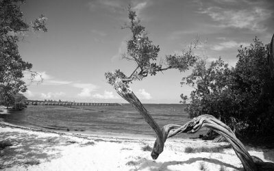 Glück ist für Menschen gefährlicher als Unglück. Dieses hält ihn wachsam, jenes macht ihn gleichgültig. –Charles Baron de Montesquieu
