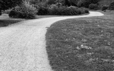 Der Weg zu allem Großen geht durch die Stille. –Friedrich Wilhelm Nietzsche