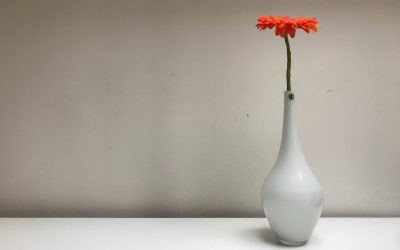 Fertige Redemanuskripte einfach vorlesen …