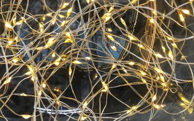 Nur ein Wort genügt, um ein Argument, das man beherrscht, verständlich zu machen. –Joseph Joubert