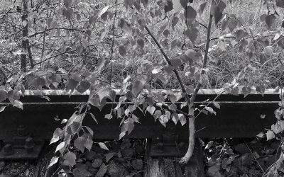 Wenige sind imstande, eine von den Vorurteilen der Umgebung abweichende Meinung gelassen auszusprechen; die meisten sind sogar unfähig, überhaupt zu solchen Meinungen zu gelangen. –Albert Einstein