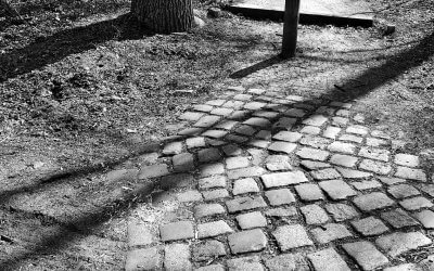 Von Narzissten trennen bedeutet Krieg!