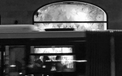 Nimmt der Narzissmus zu? Meine Thesen, weshalb mit mehr Narzissten zu rechnen ist