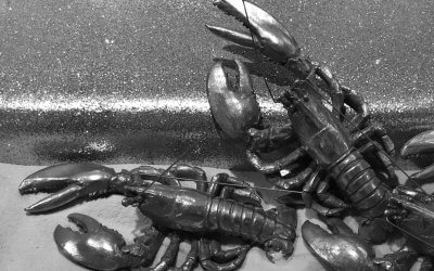 Weshalb sind Narzissten so motiviert, sich anderen gegenüber überlegen zu verhalten?