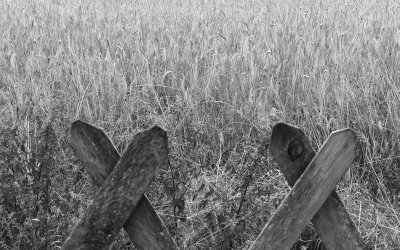 Lächelnd einschlafen. Trotz allem.