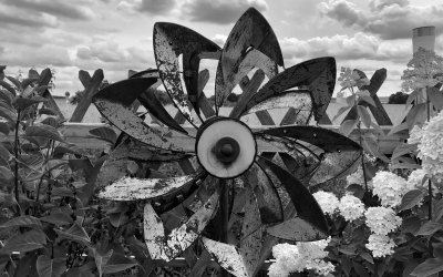 Mutgelaunt in den Tag starten