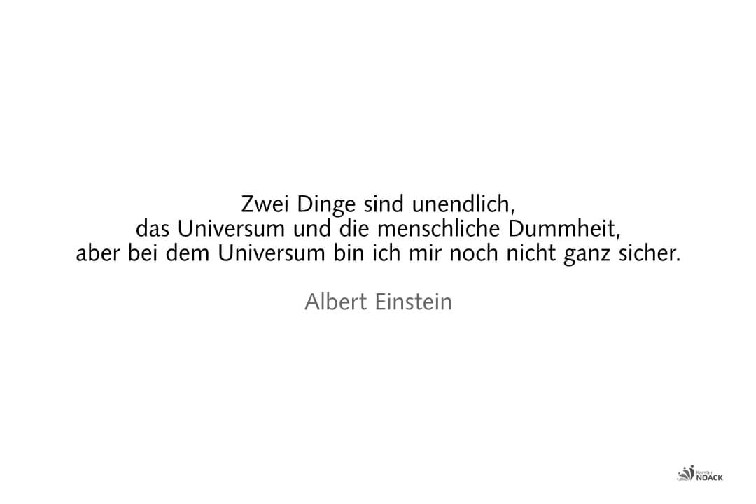 Zwei Dinge sind unendlich, das Universum und die menschliche Dummheit, aber bei dem Universum bin ich mir noch nicht ganz sicher. –Albert Einstein