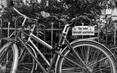 Zwei Dinge sind unendlich, das Universum und die menschliche Dummheit, aber bei dem Universum bin ich mir noch nicht ganz sicher. –Albert Einstein