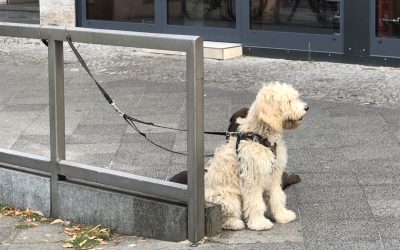 Seelische Folgen narzisstischen Missbrauchs