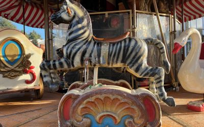 Bildhaftes Sprechen als Technik für Präsentationen, Reden, Moderationen und Gesprächen