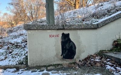 So triffst du die richtigen Karriereentscheidungen