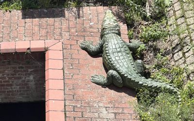 Gespräch mit dem schwierigen Gesellschafter: Klar bleiben, wenn Druck und Drama steigen